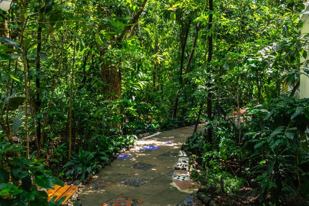 Hotel La Casa De Los Arboles Immersive Experience Сакуальпан-де-Амильпас Экстерьер фото