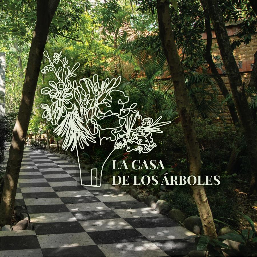 Hotel La Casa De Los Arboles Immersive Experience Сакуальпан-де-Амильпас Экстерьер фото