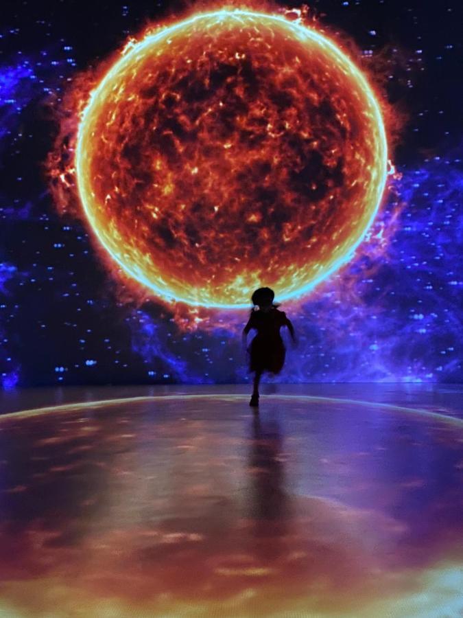 Hotel La Casa De Los Arboles Immersive Experience Сакуальпан-де-Амильпас Экстерьер фото